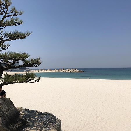 長楽園 Villa Shirahama Eksteriør bilde