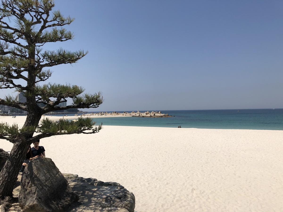 長楽園 Villa Shirahama Eksteriør bilde